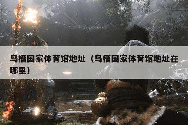 鸟槽国家体育馆地址(鸟槽国家体育馆地址在哪里)