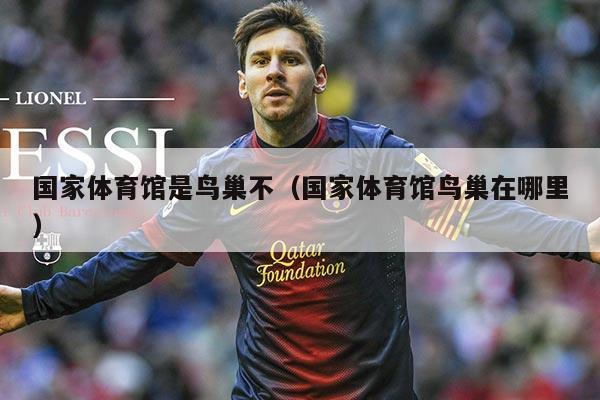 国家体育馆是鸟巢不(国家体育馆鸟巢在哪里)