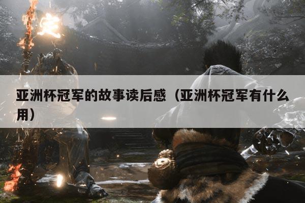 亚洲杯冠军的故事读后感（亚洲杯冠军有什么用）