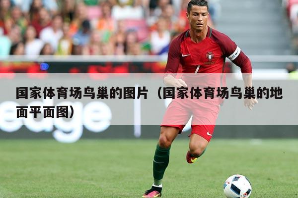 国家体育场鸟巢的图片（国家体育场鸟巢的地面平面图）