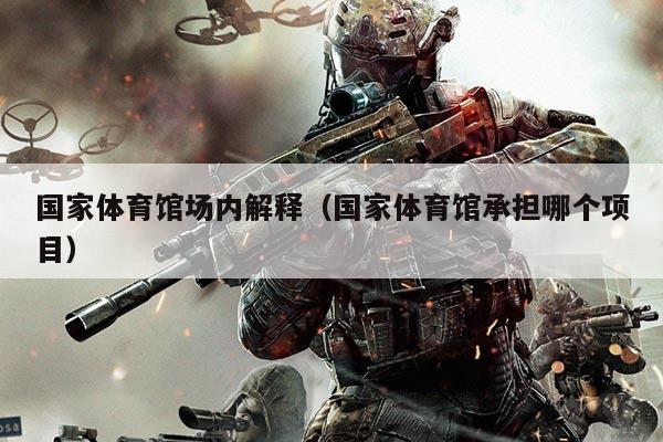 国家体育馆场内解释（国家体育馆承担哪个项目）